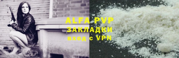СК Козловка